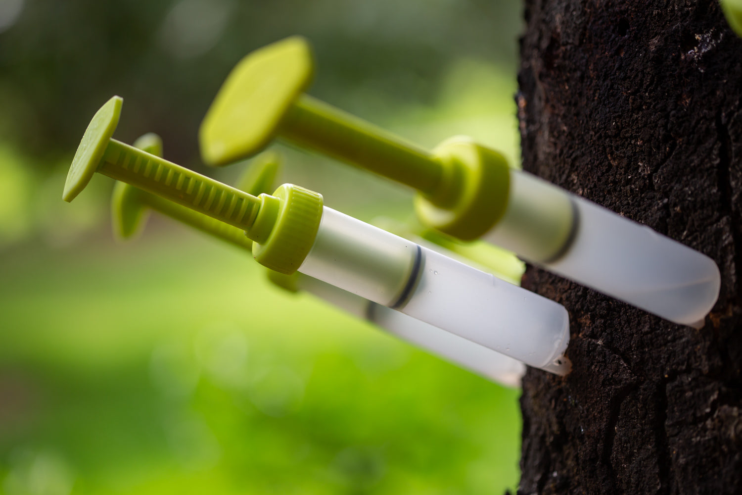 AvoJect Tree Trunk Injection