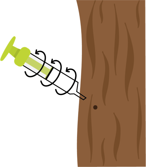 Once the tree has absorbed  the solution, twist the whole  syringe anticlockwise until it  is removed from the tree.