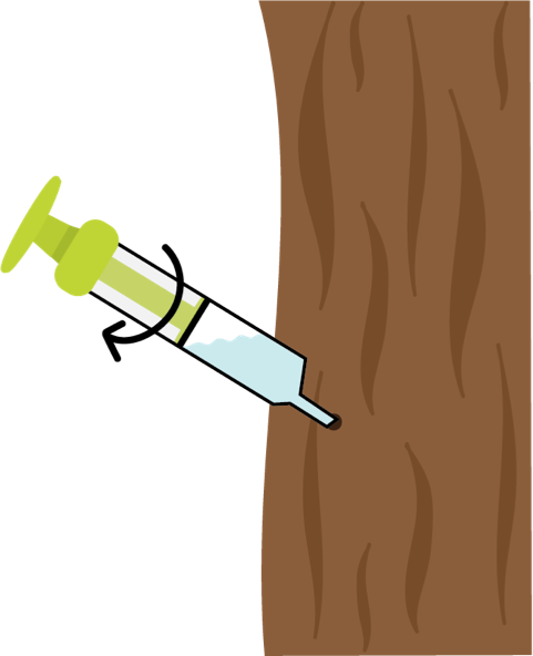 Insert one syringe into each of  the pre drilled 5.5mm holes. Twist  the whole syringe clockwise to  secure into the tree. TIP: The tip of the syringe should  be at the lowest point and the  end of the plunger should be slightly elevated