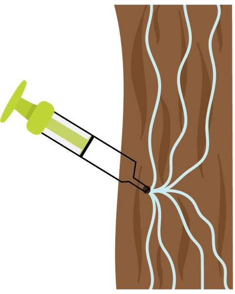Once pressure is achieved, lock the syringe by turning the plunger  ¼ clockwise. Do not force the  locking mechanism. Leave the  syringe in the tree for 24 hours.  The tree should absorb the  solution within 6-8 hours.