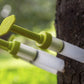 30 AvoJect Syringes